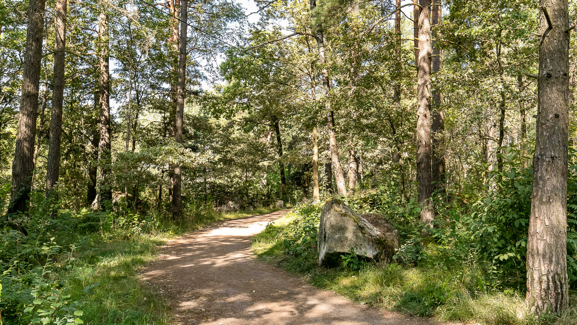 Råbyskogen i Västerås